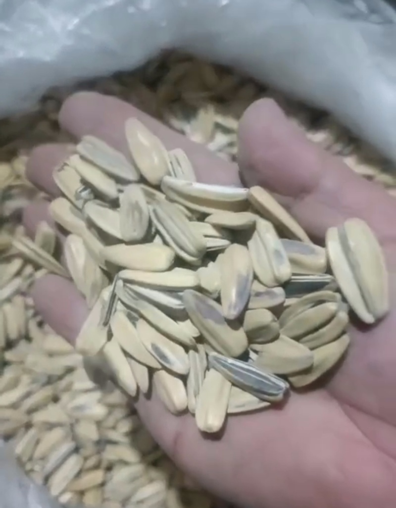 多味五香中料