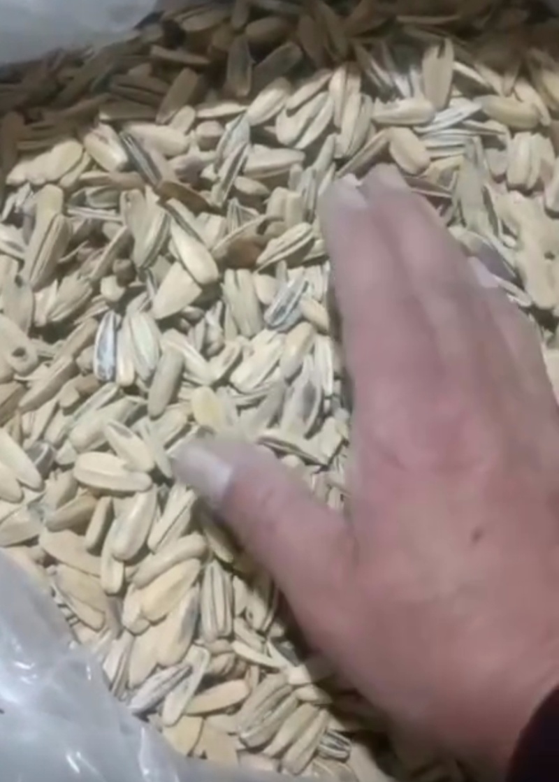多味五香中料