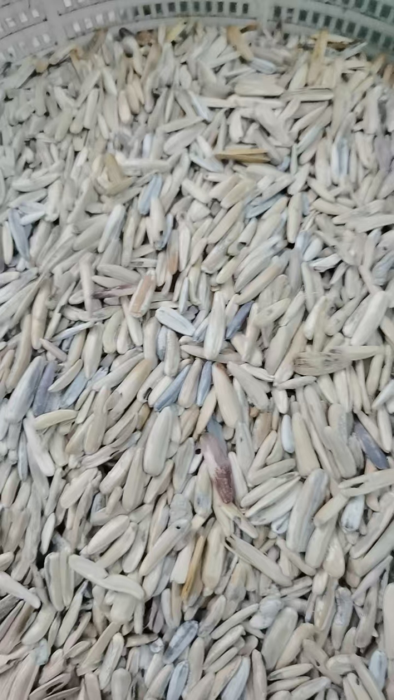 多味五香中料
