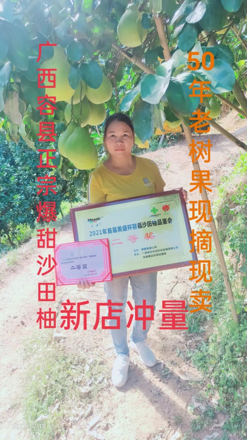 广西容县自良沙田柚子大量上市了价格实惠保质保量欢迎选购