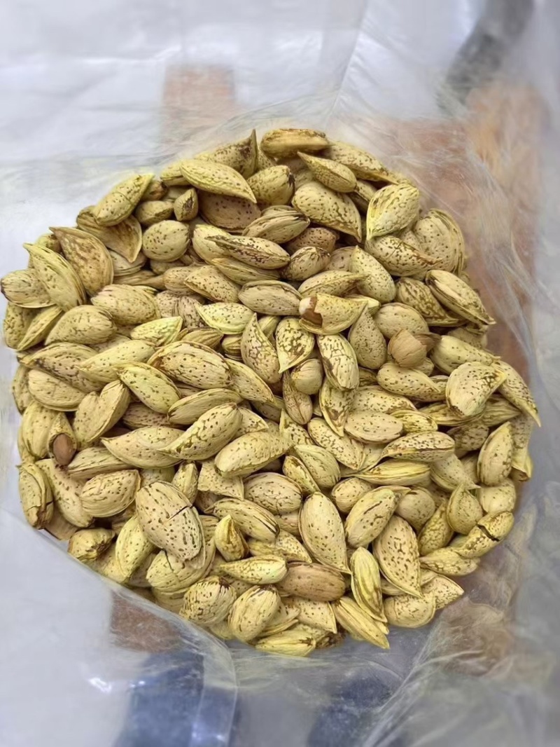 蛋壳纸皮NP巴旦木，薄皮巴旦木，佳美，龙果，刀果大量现货