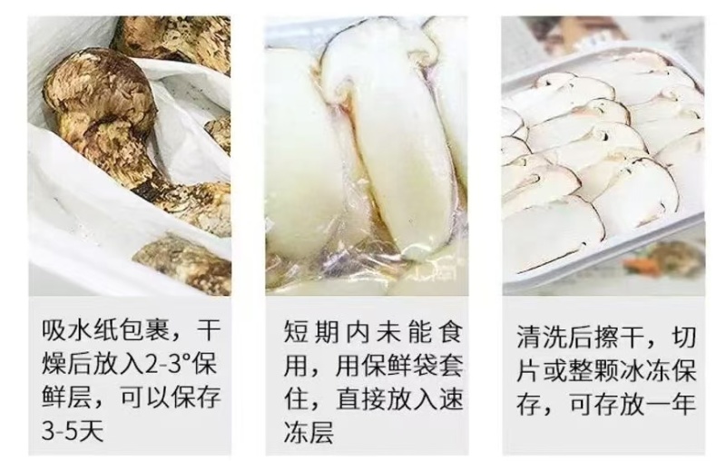 松茸干片，都是深山里面大量有货，保质保量，批发零售！