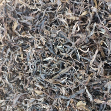 茶普洱茶临沧大树茶茶香口感好价格美欢迎咨询