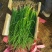 芥菜头、疙瘩原产地上市中，专业