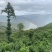 茶普洱茶临沧大树茶茶香口感好价格美欢迎咨询