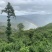 茶普洱茶临沧大树茶茶香口感好价格美欢迎咨询