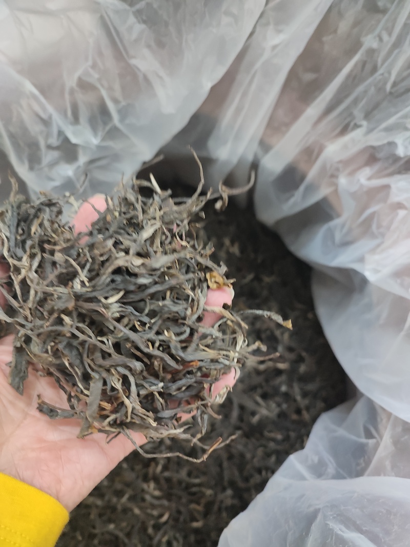 茶普洱茶临沧大树茶茶香口感好价格美欢迎咨询