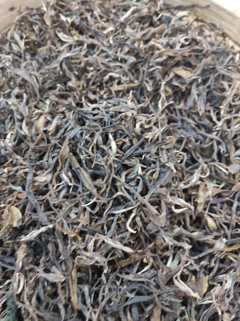 茶普洱茶临沧大树茶茶香口感好价格美欢迎咨询