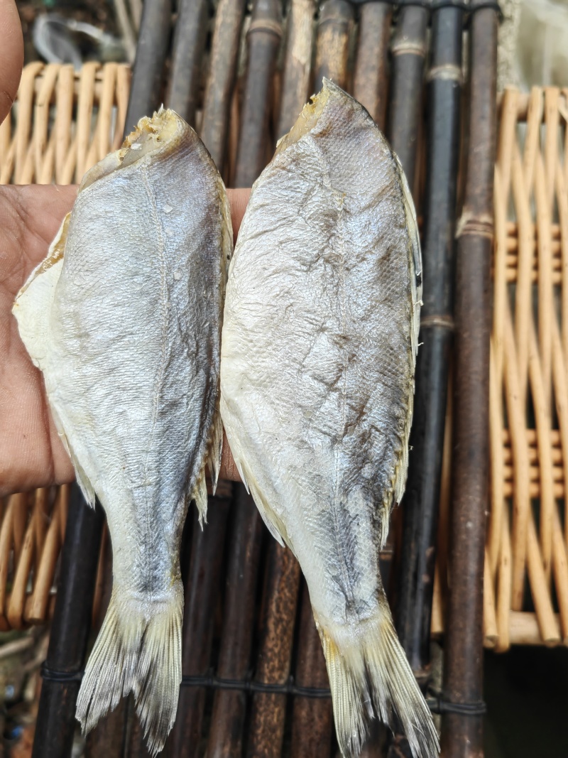 花鲈鱼咸鱼干