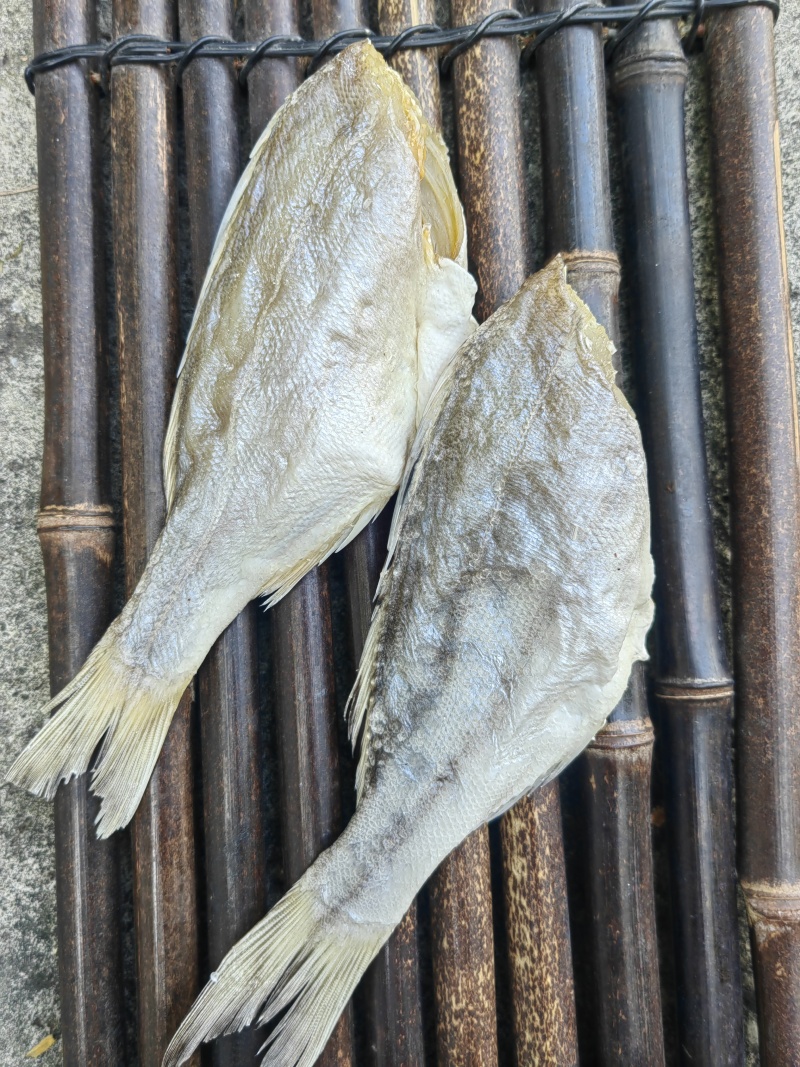 花鲈鱼咸鱼干