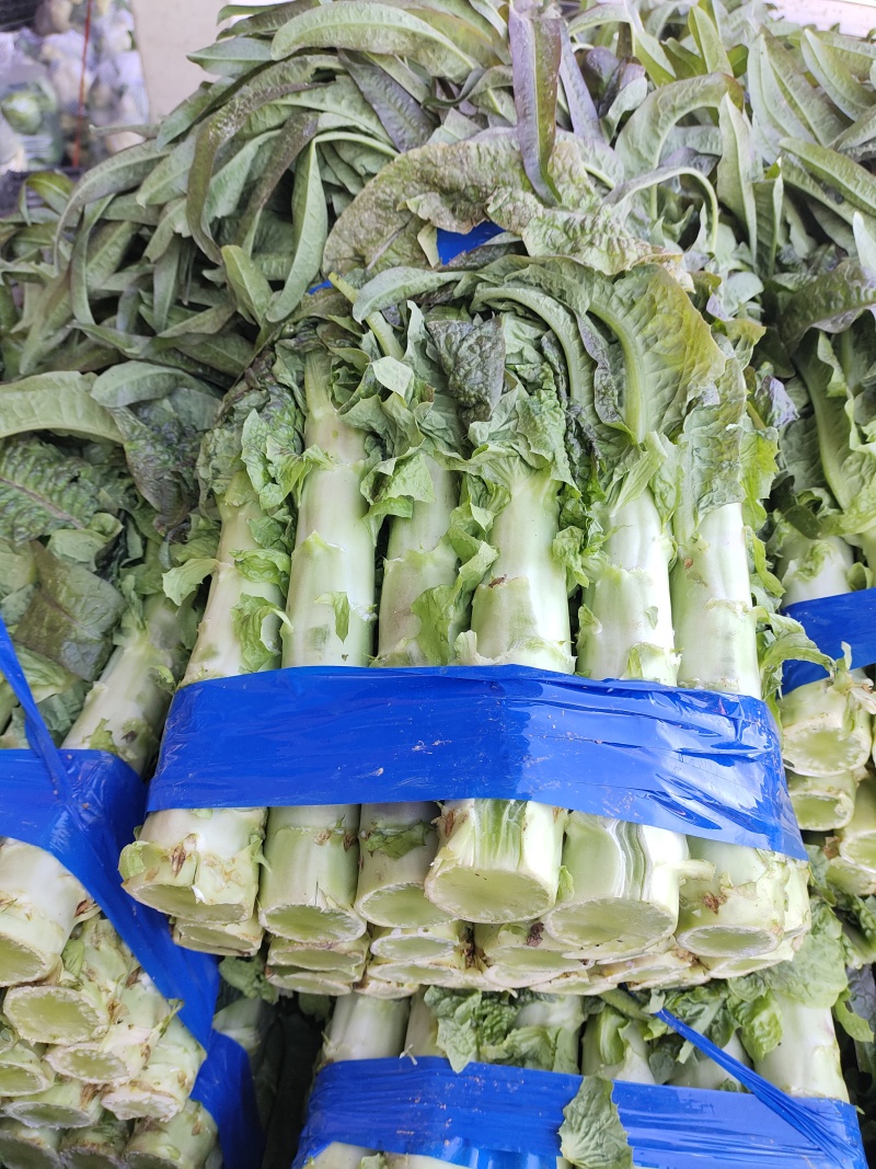 红香莴苣大量上市精品，市场货，电商货，货源充足需要的联系