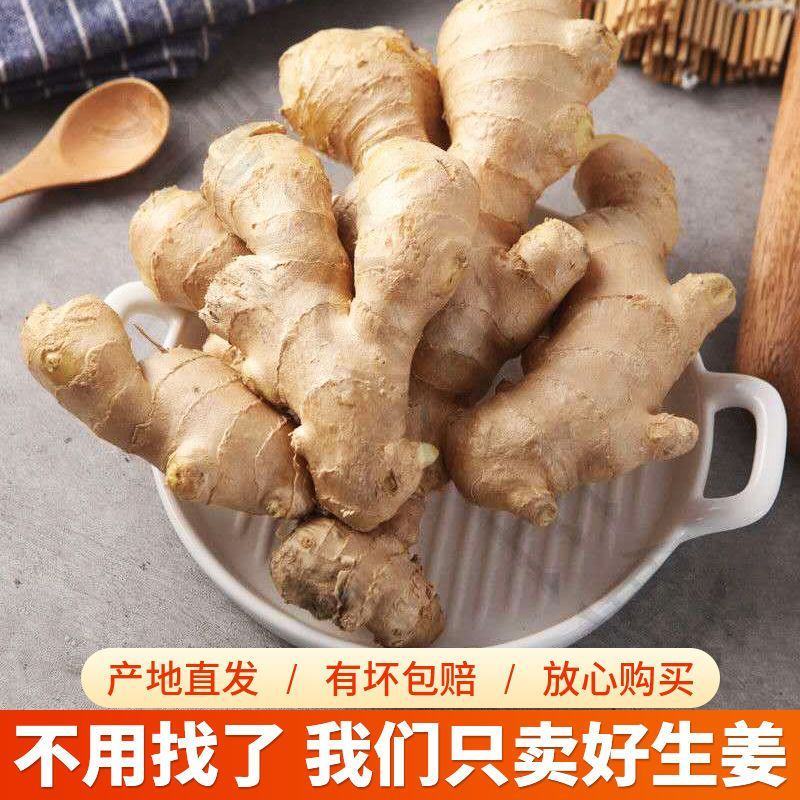新鲜山东大姜带泥生姜姜黄姜老姜批发干姜大黄姜整箱批发包邮