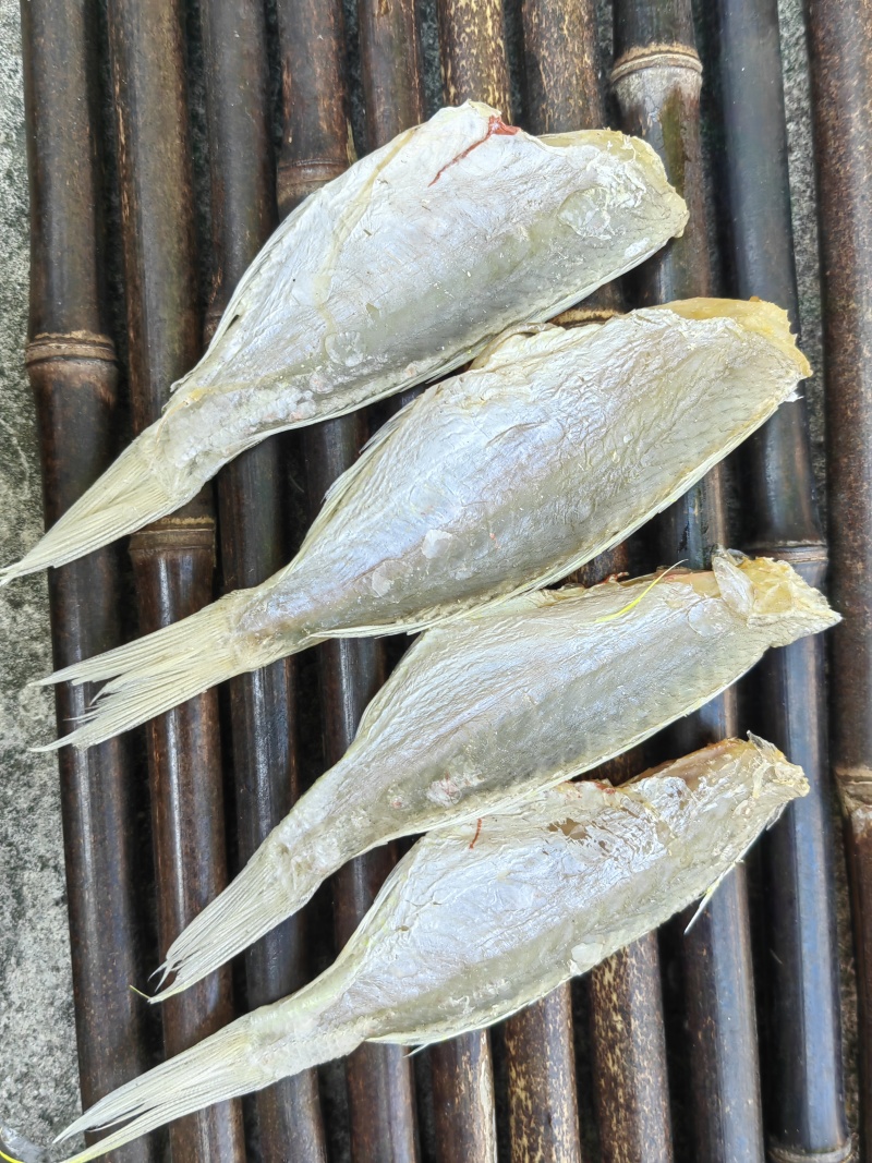 红杉鱼咸鱼干