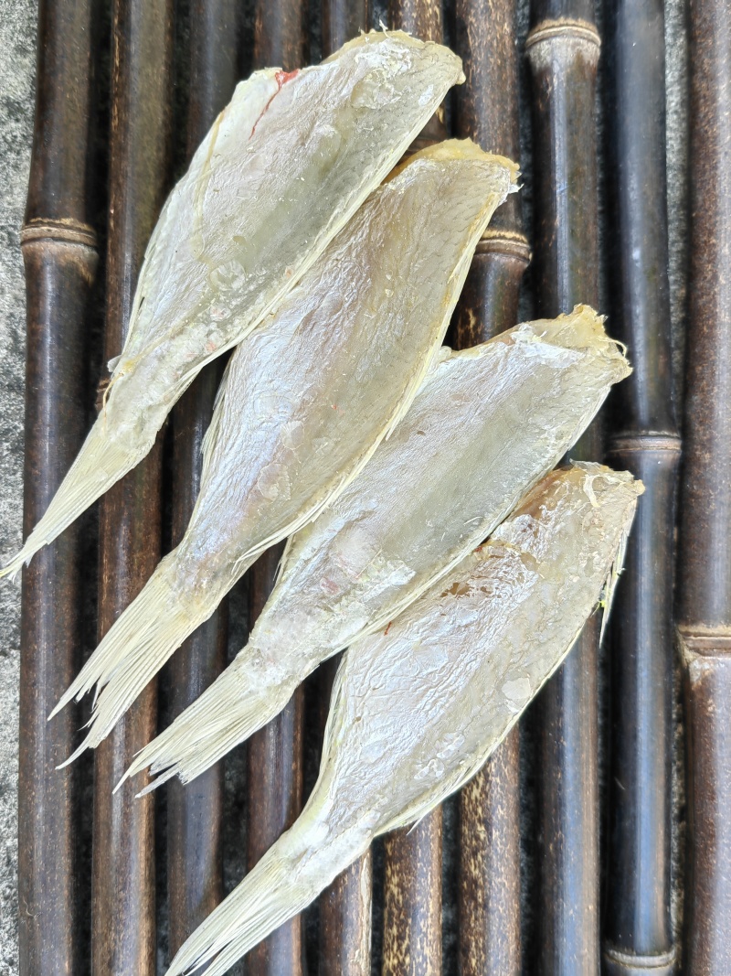 红杉鱼咸鱼干