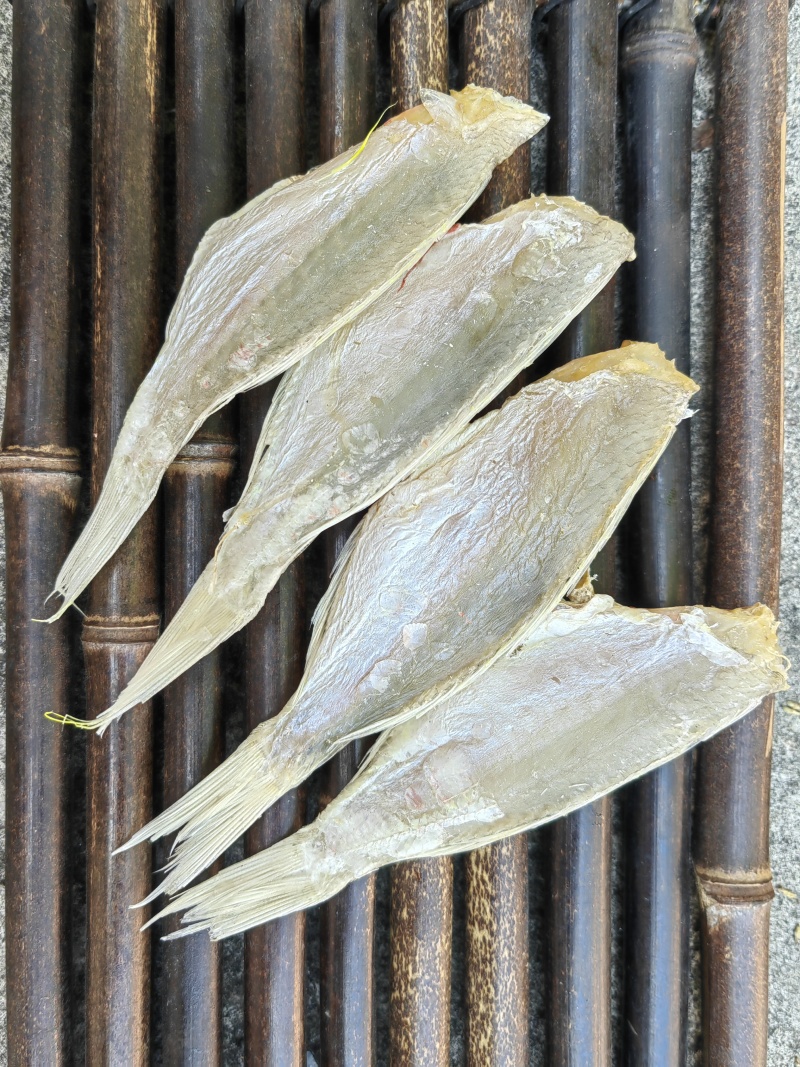 红杉鱼咸鱼干