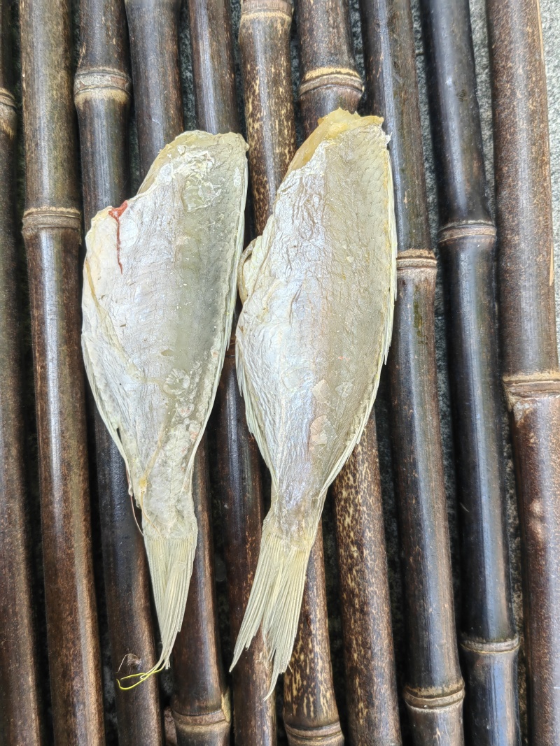 红杉鱼咸鱼干