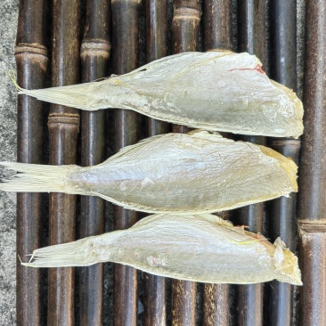 红杉鱼咸鱼干