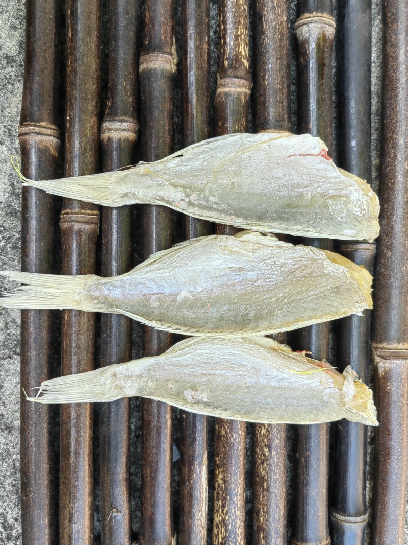 红杉鱼咸鱼干
