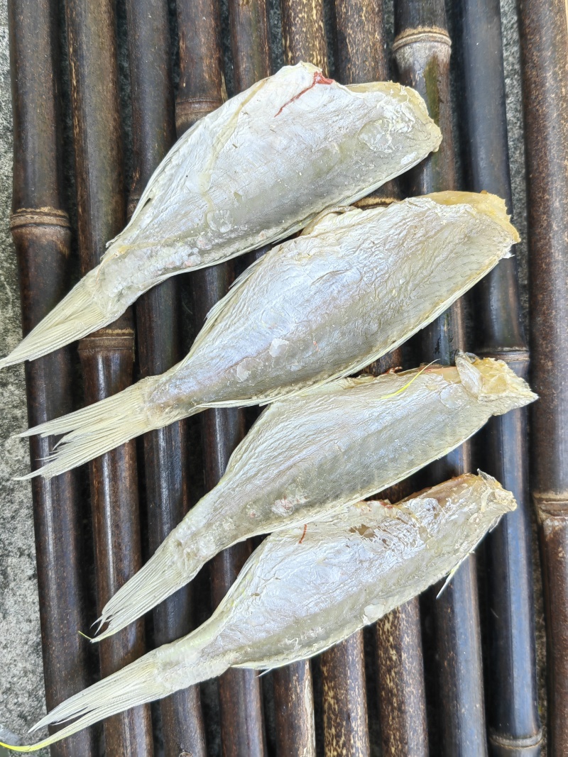 红杉鱼咸鱼干