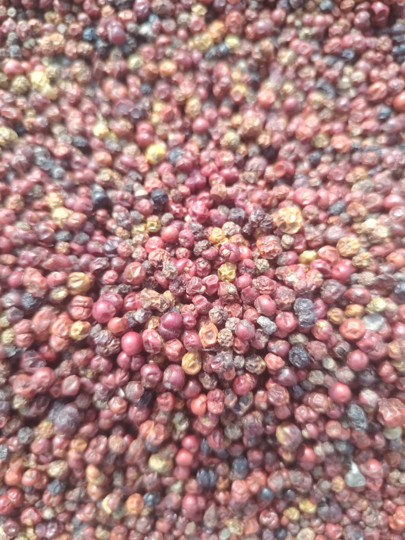 茜草种子包售后高含量价格等于质量等于保障