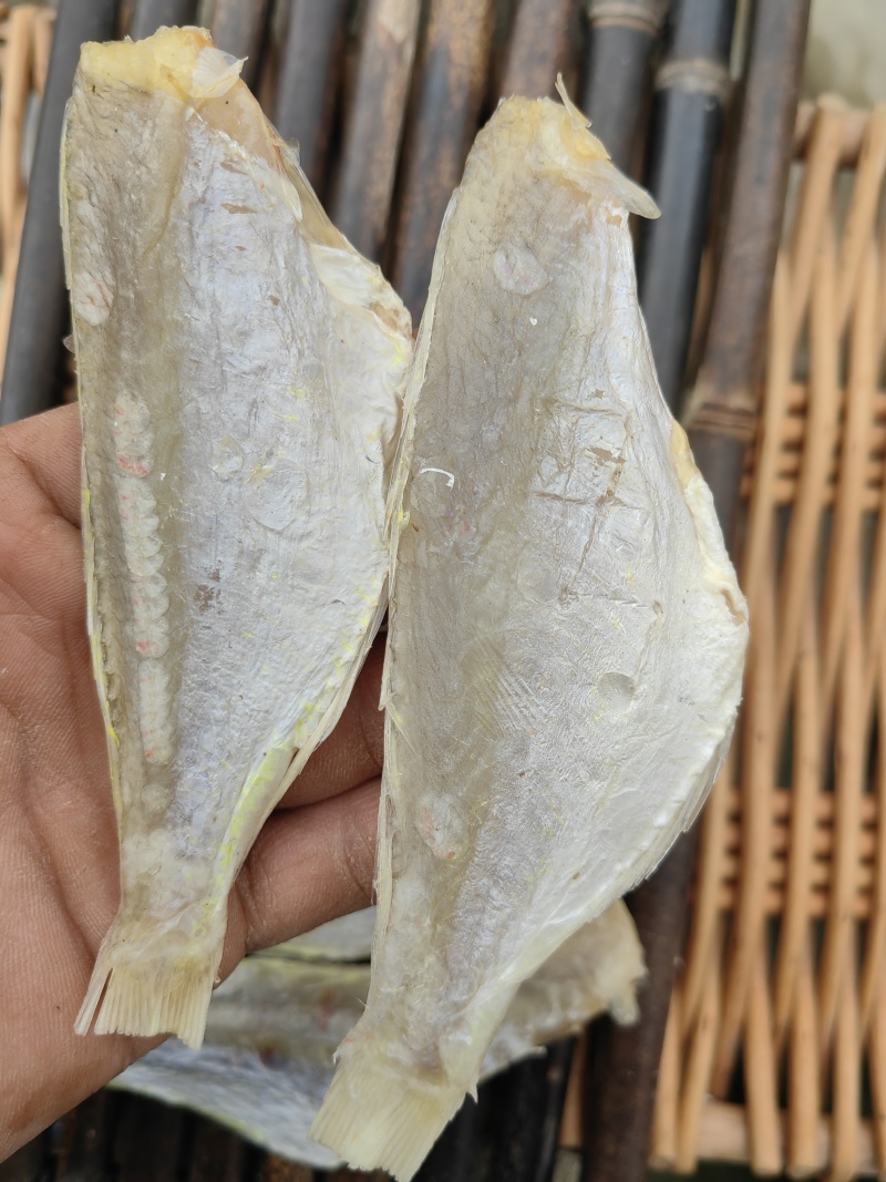 红杉鱼咸鱼干