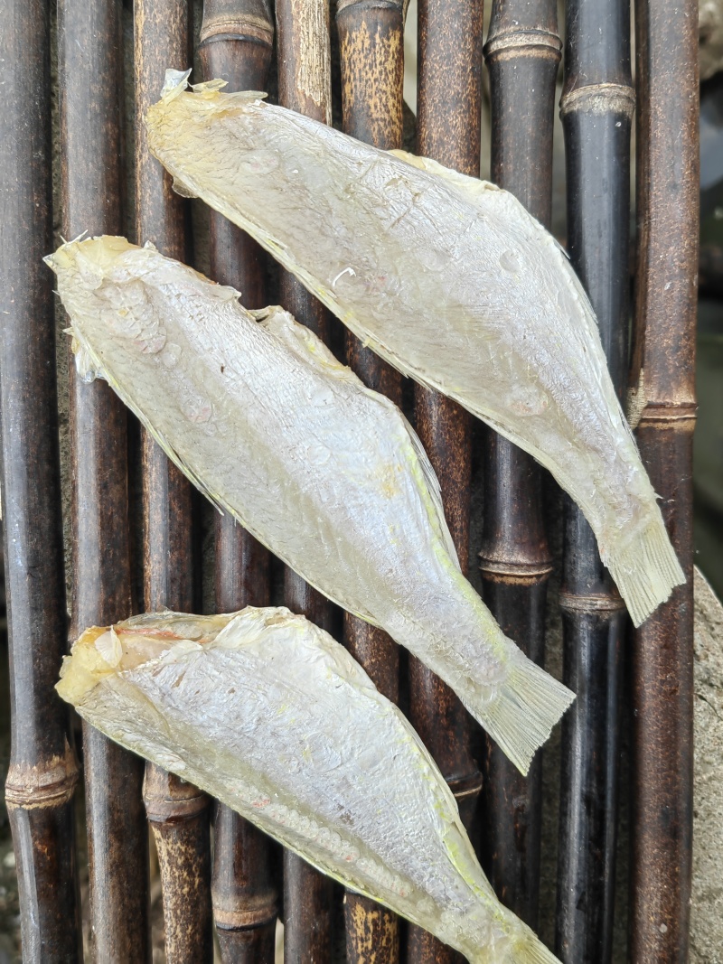 红杉鱼咸鱼干