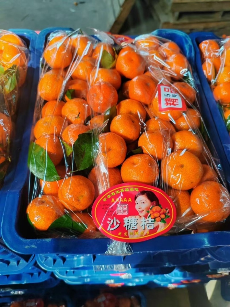 砂糖橘甜度高产地一手货源专业代办代发对接各大市场