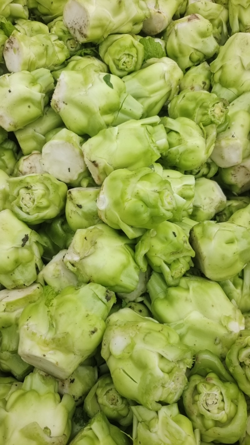 百亩早榨菜