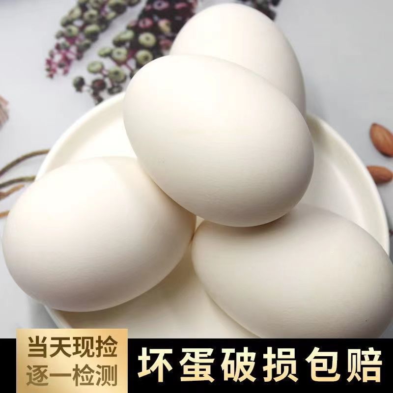 农家鹅蛋