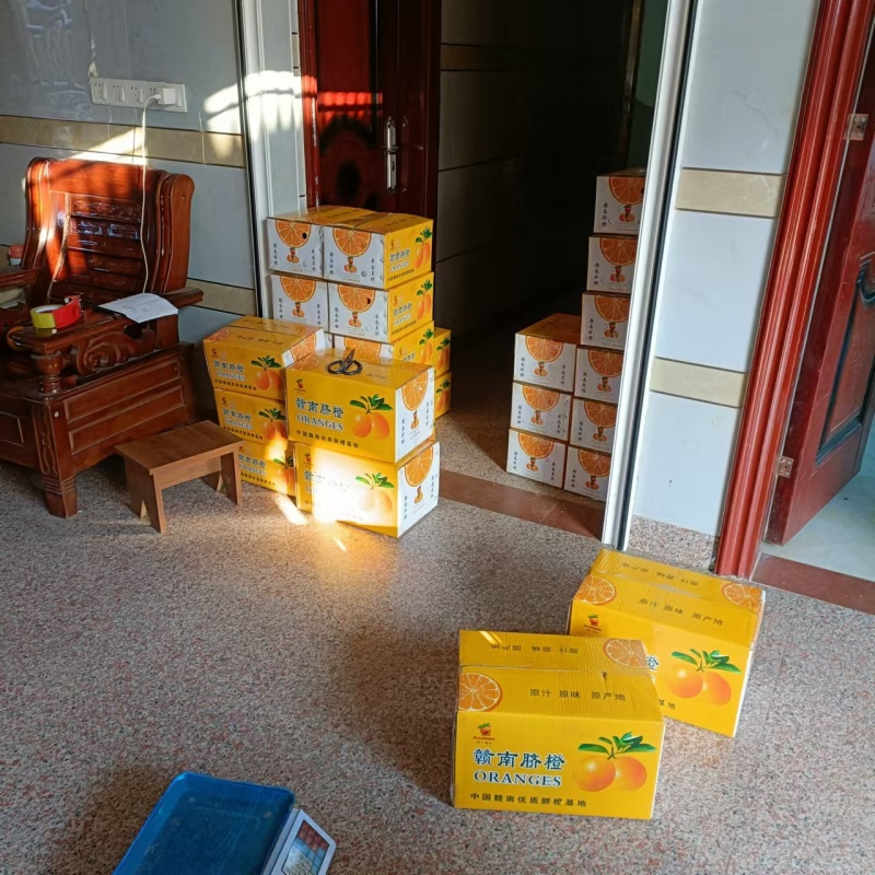 正宗赣南脐橙规格齐全量大从优质量保证一件代发欢迎咨询