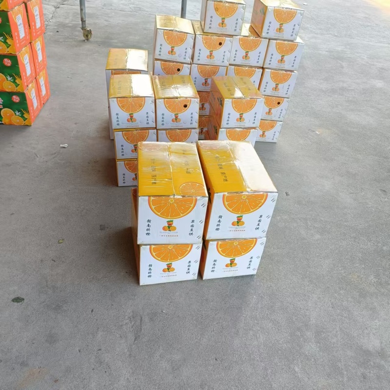 正宗赣南脐橙规格齐全量大从优质量保证一件代发欢迎咨询