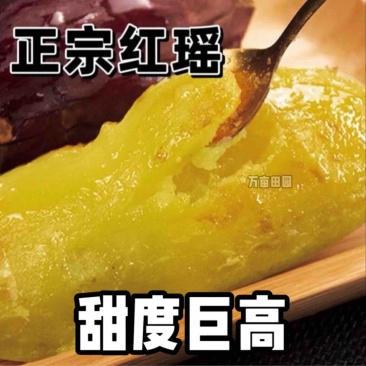 红瑶蜜薯甜度高软糯香甜整车批发一件代发量大优惠品质保障