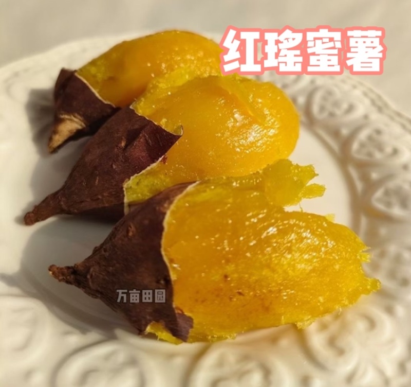 红瑶蜜薯甜度高软糯香甜整车批发一件代发量大优惠品质保障