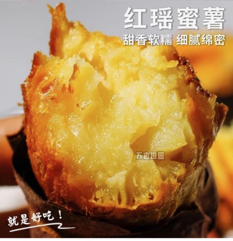 红瑶蜜薯甜度高软糯香甜整车批发一件代发量大优惠品质保障