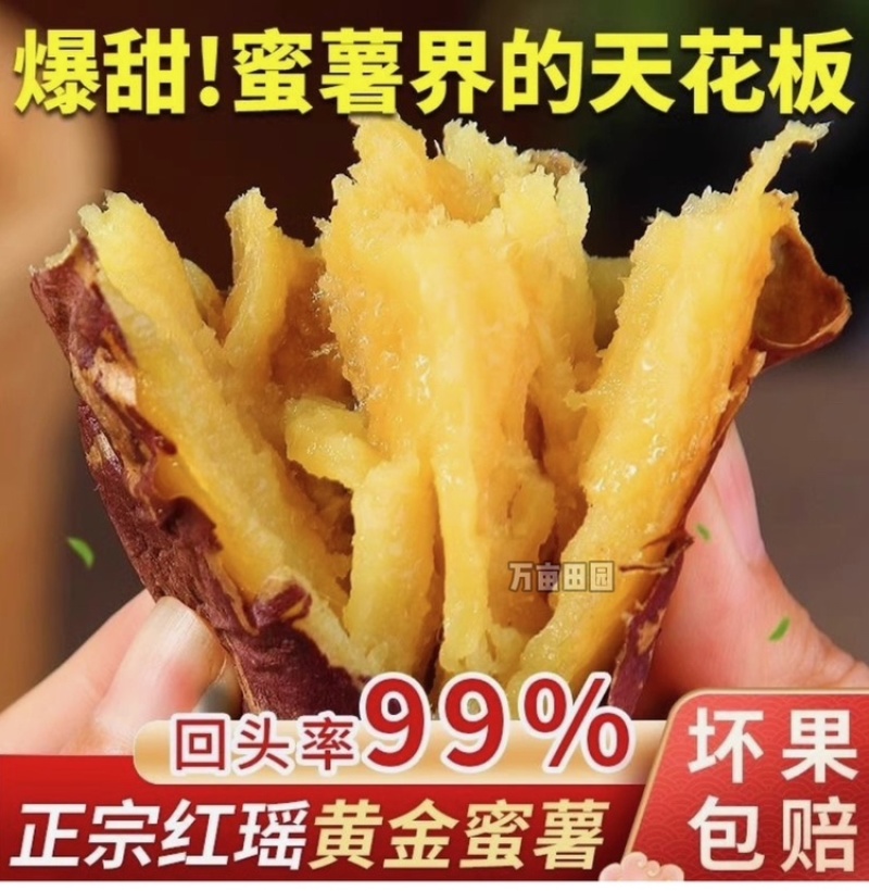 红瑶蜜薯甜度高软糯香甜整车批发一件代发量大优惠品质保障