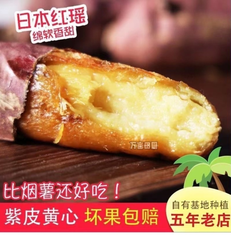 红瑶蜜薯甜度高软糯香甜整车批发一件代发量大优惠品质保障