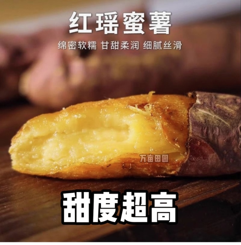 红瑶蜜薯甜度高软糯香甜整车批发一件代发量大优惠品质保障