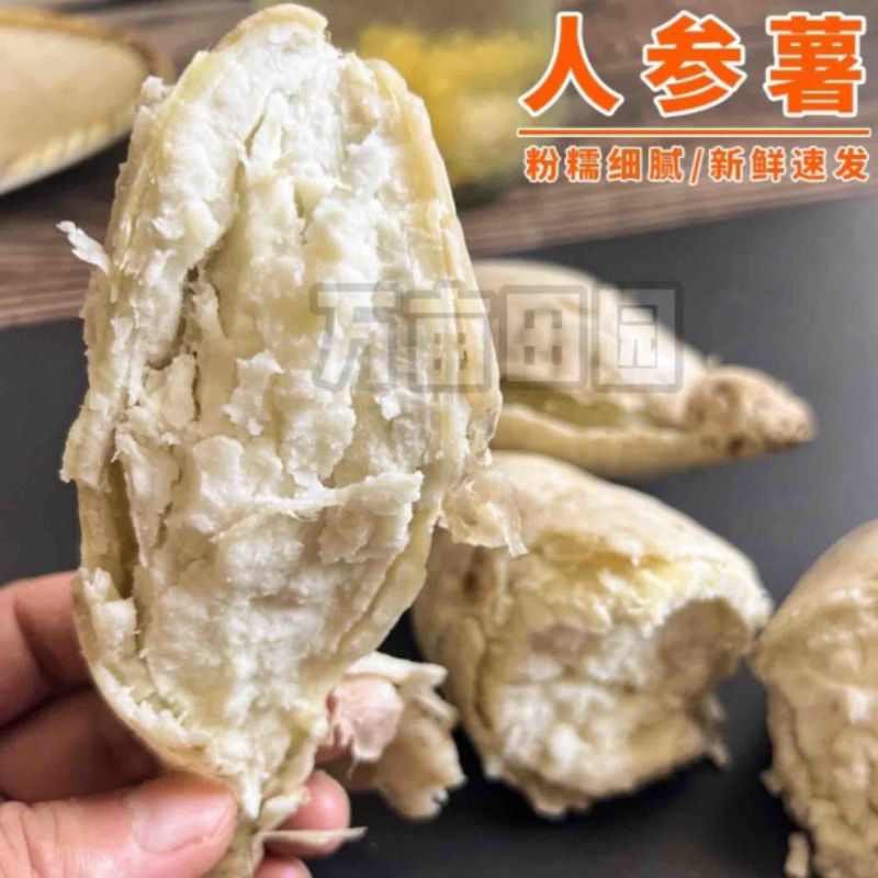 爆粉爆面人参薯白薯产地直发量大优惠整车批发一件代发品质