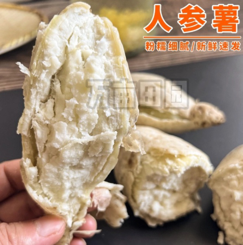爆粉爆面人参薯白薯产地直发量大优惠整车批发一件代发品质
