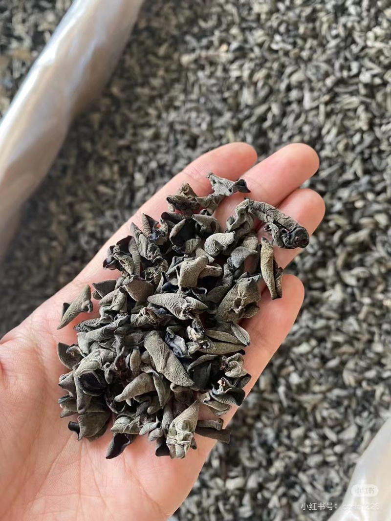 黑木耳精选黑木耳