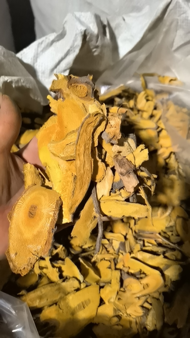 虎杖片