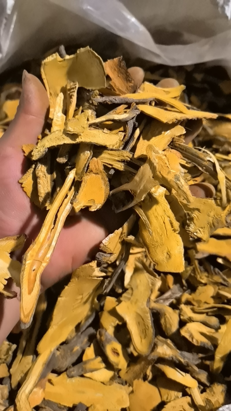 虎杖片