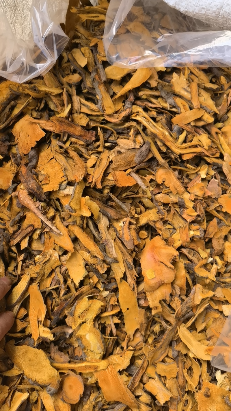 虎杖片