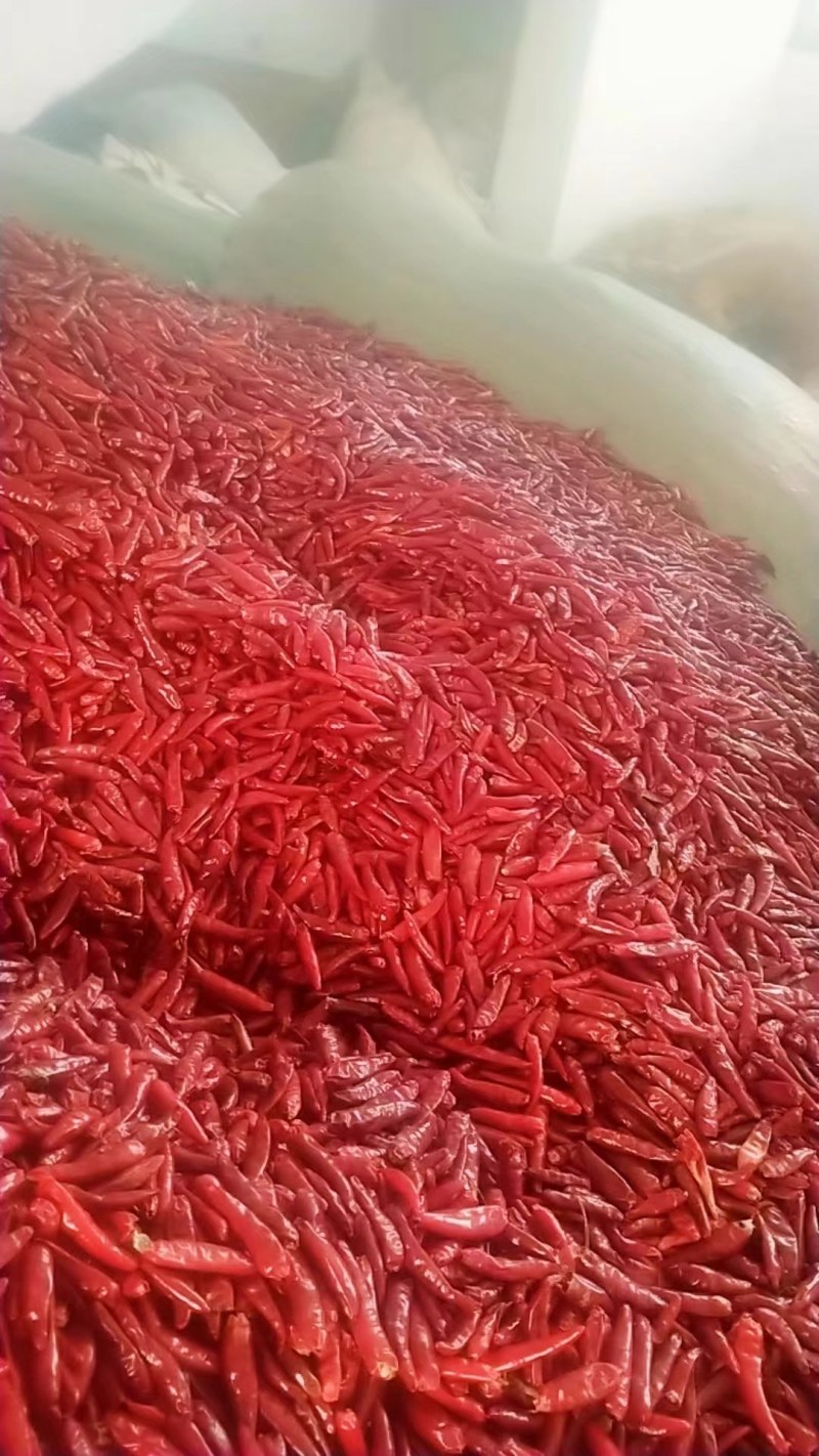新一代