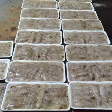 皮皮虾肉连云港产地直供全国发货对接各大批发市场