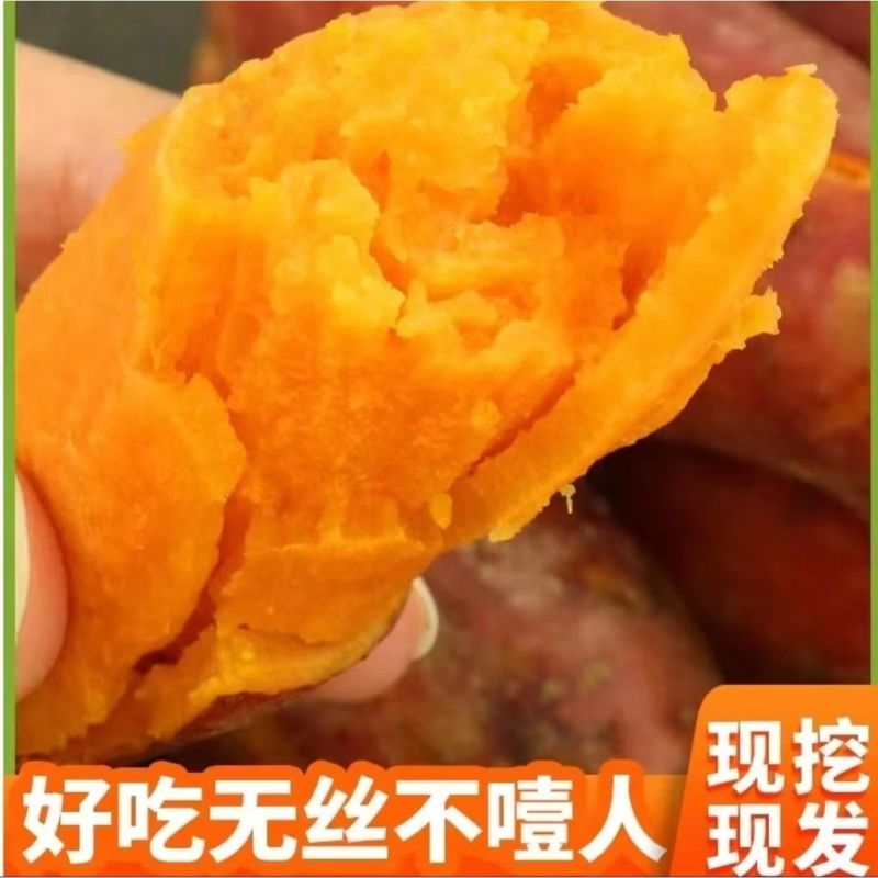 六鳌沙地蜜薯一件代发富硒沙地红薯西瓜红山芋地瓜红心番薯