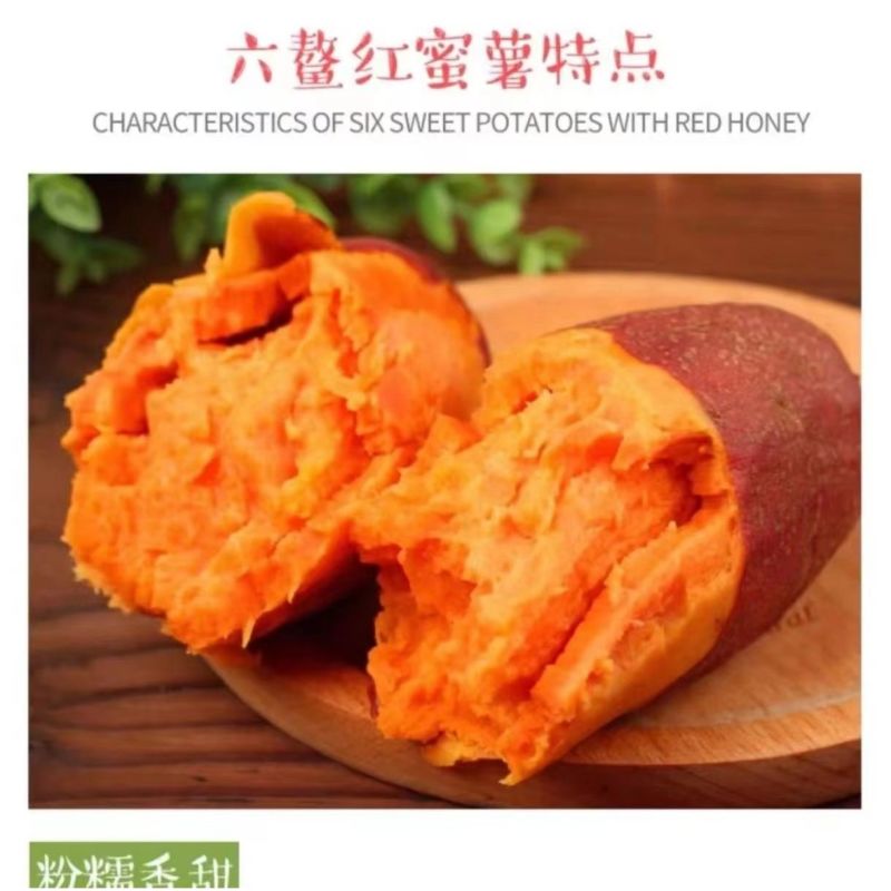 六鳌沙地蜜薯一件代发富硒沙地红薯西瓜红山芋地瓜红心番薯