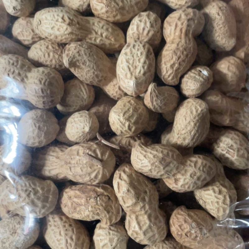 电商铁锅炒花生支持一件貸发原味花生