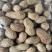 电商铁锅炒花生支持一件貸发原味花生