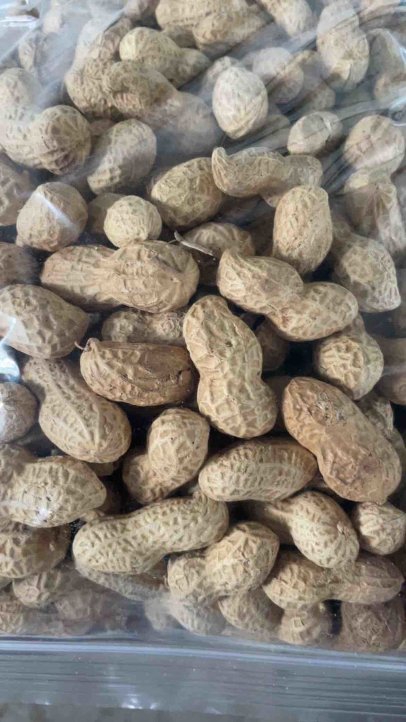 电商铁锅炒花生支持一件貸发原味花生